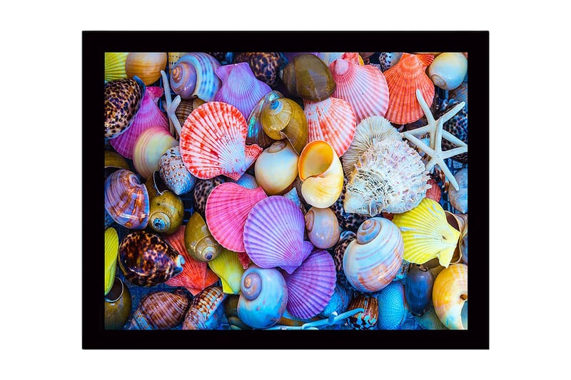 Kehystetty puutaulu canvasille - 41x56 cm - Värikkäitä simpukankuoria eri muodoissa ja kokoisina, Vaaleanpunainen / Keltainen / Violetti