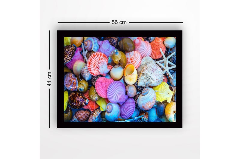 Kehystetty puutaulu canvasille - 41x56 cm - Värikkäitä simpukankuoria eri muodoissa ja kokoisina - Vaaleanpunainen / Keltainen / Violetti - Sisustustuotteet - Taulu & taide
