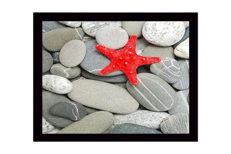 Kehystetty puutaulu canvasille - 41x56 cm - Punainen meritähti harmailla kivillä, Harmaa / Punainen