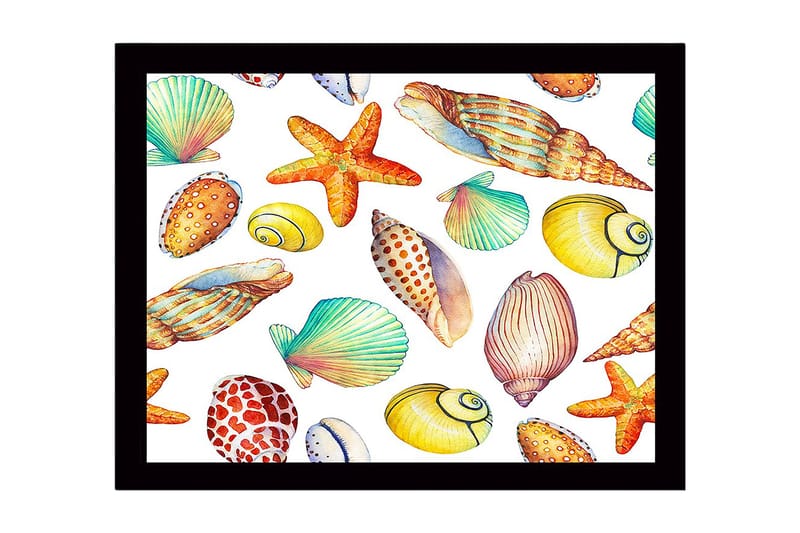 Kehystetty puucanvas - 41x56 cm - Värikkäitä simpukoita ja meritähtiä leikkisässä sommitelmassa, Keltainen / Oranssi / Vihreä