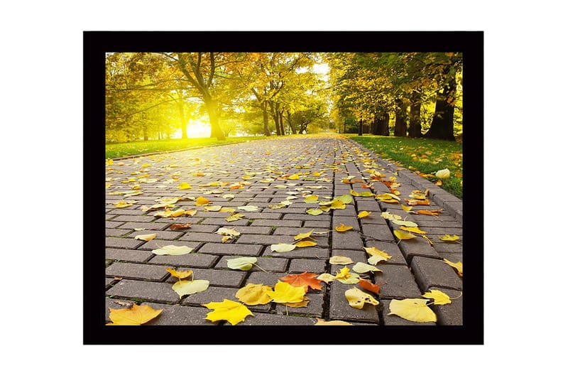 Kehystetty puinen canvas-taulu - 41x56 cm - Kultaiset syksyn lehdet päällystetyllä tiellä - Keltainen / Oranssi / Ruskea - Sisustustuotteet - Taulu & taide