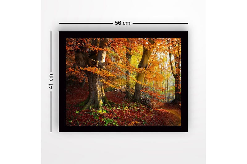 Kehystetty puutaulu canvasille - 41x56 cm - Värik äs syysmetsä kultaisilla ja oransseilla lehdillä - Oranssi / Keltainen / Vihreä - Sisustustuotteet - Taulu & taide