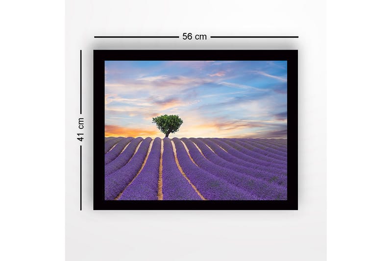 Kehystetty puutaulu canvasille - 41x56 cm - Laventelipelto yksinäisen puunlatvuksen kanssa horisontissa - Violetti / Vihreä / Beige - Sisustustuotteet - Taulu & taide