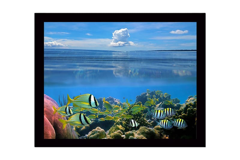 Kehystetty puutaulu canvasille - 41x56 cm - Värikäs vedenalainen kohtaus uivilla kaloilla ja koralliriutalla, Sininen / Vihreä / Keltainen