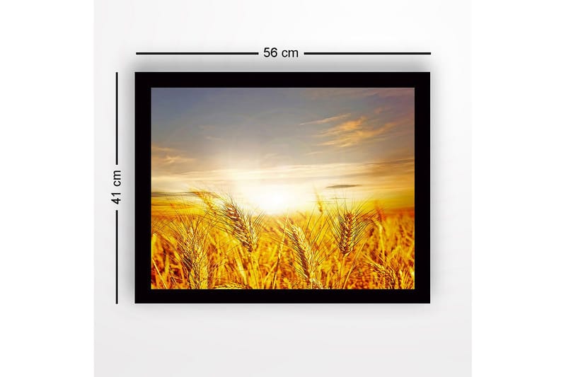 Kehystetty puutaulu canvasille - 41x56 cm - Kultaiset vehnäpellot auringonnousun aikana - Kulta / Oranssi / Vaaleansininen - Sisustustuotteet - Taulu & taide