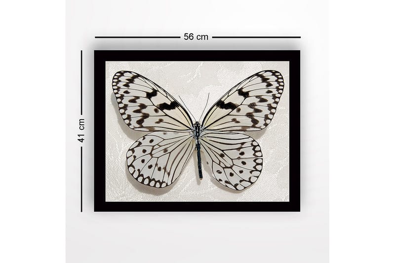 Kehystetty puutaulu canvasille - 41x56 cm - Kaunis perhonen yksityiskohtaisilla mustavalkoinen kuvioilla - Valkoinen / Musta - Sisustustuotteet - Taulu & taide