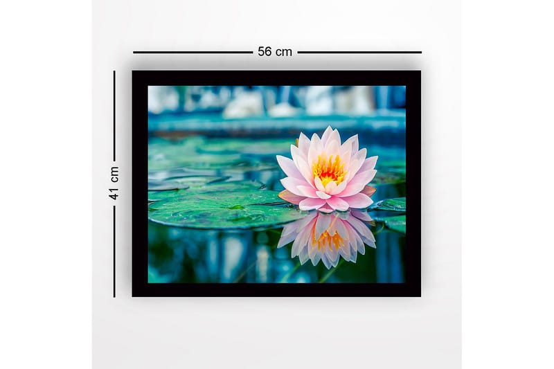 Kehystetty puutaulu canvasille - 41x56 cm - Kaunis lumpeenlehti kelluu peilimäisellä pinnalla - Vaaleanpunainen / Vihreä / Keltainen - Sisustustuotteet - Taulu & taide