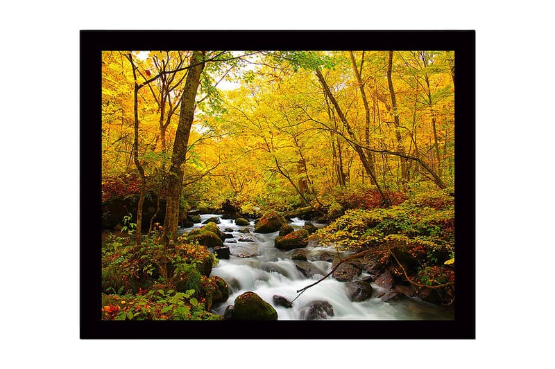 Kehystetty puinen canvas-taulu - 41x56 cm - Kaunis metsä solinaisella purolla, kultaisten syksyn lehtien ympäröimänä, Keltainen / Vihreä / Ruskea