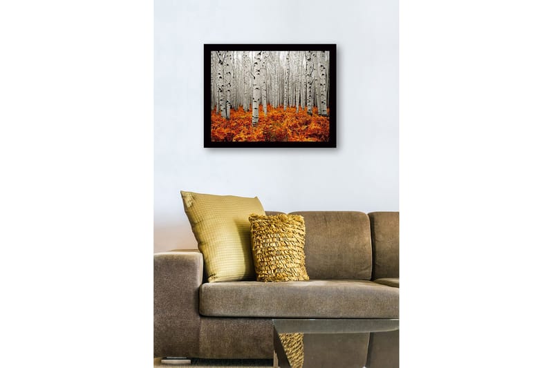 Kehystetty puutaulu canvasille - 41x56 cm - Syysmetsä koivujen ja kultaisten saniaisten kanssa - Valkoinen / Oranssi - Sisustustuotteet - Taulu & taide