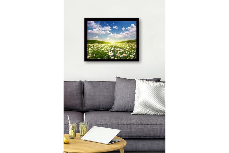 Kehystetty puutaulu canvasille - 41x56 cm - Kukkiva niitty ja päivänkakkaroita kirkkaan taivaan alla - Vihreä / Valkoinen / Sininen - Sisustustuotteet - Taulu & taide