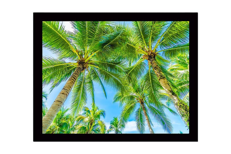 Kehystetty puucanvas - 41x56 cm - Korkeat palmut kirkasta sinistä taivasta vasten, Vihreä / Sininen