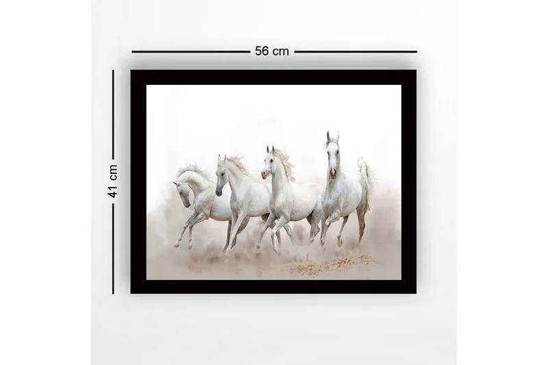 Kehystetty puucanvas - 41x56 cm - Neljä valkoista hevosta liikkeessä - Valkoinen / Vaaleanharmaa - Sisustustuotteet - Taulu & taide