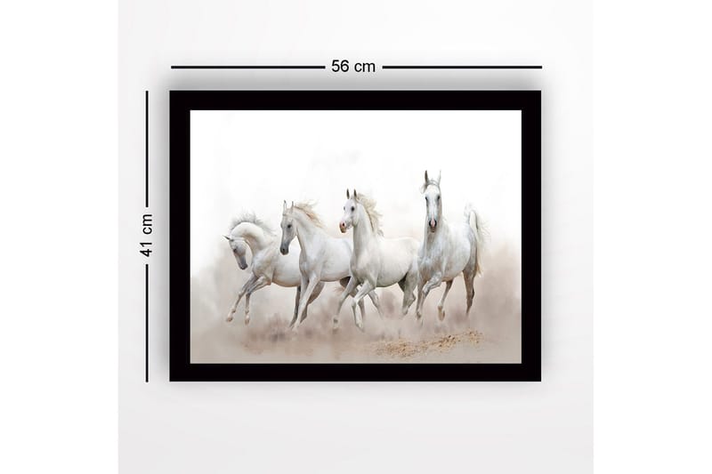 Kehystetty puucanvas - 41x56 cm - Neljä valkoista hevosta liikkeessä - Valkoinen / Vaaleanharmaa - Sisustustuotteet - Taulu & taide