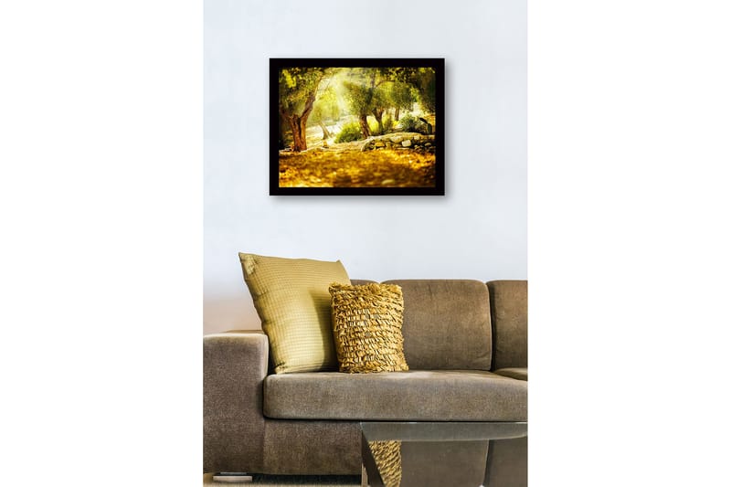 Kehystetty puutaulu canvasille - 41x56 cm - Aurinkoinen metsä oliivipuiden kanssa - Vihreä / Kulta / Ruskea - Sisustustuotteet - Taulu & taide