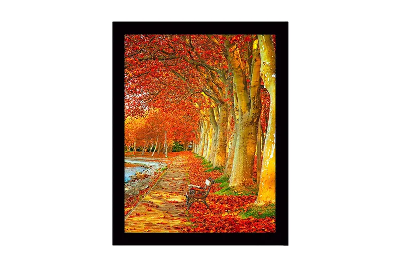 Kehystetty puutaulu canvas-taululla - 41x56 cm - Kaunis katu syksyn väristen puiden ja penkin kanssa kävelypolun varrella, Oranssi / Kulta / Vihreä