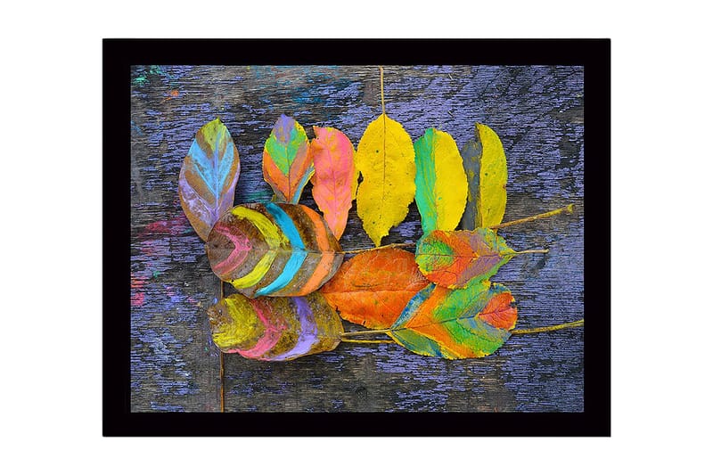 Kehystetty puinen canvas-taulu - 41x56 cm - Värikkäitä lehtiä tummalla pohjalla, Keltainen / Violetti / Vihreä
