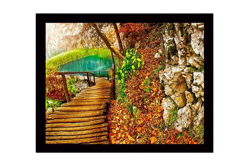Kehystetty puinen canvas-taulu - 41x56 cm - Kaunis metsäpolku kirkkaan järven rannalla syksyn väreissä, Vihreä / Oranssi / Ruskea