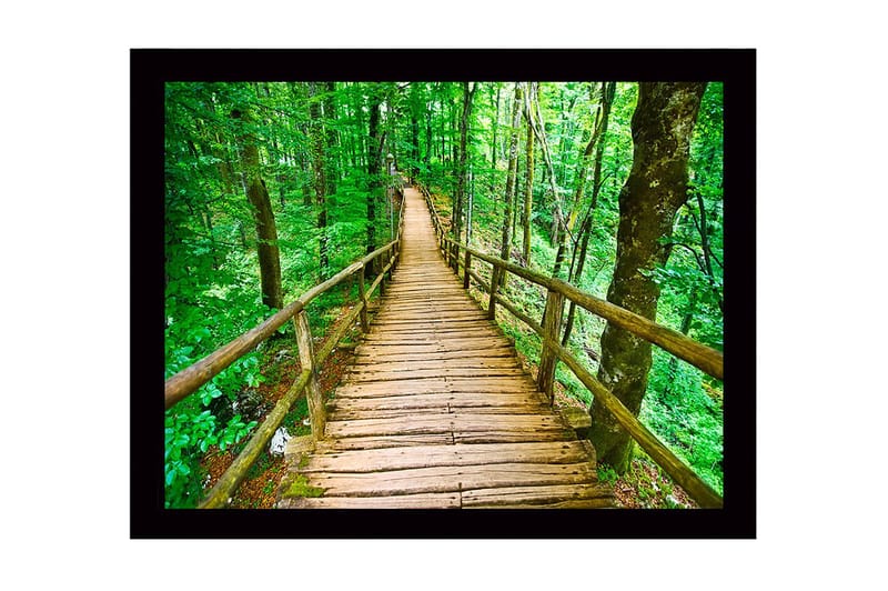Kehystetty puinen canvas-taulu - 41x56 cm - Puinen silta mutkittelee rehevän metsän läpi - Vihreä / Ruskea - Sisustustuotteet - Taulu & taide
