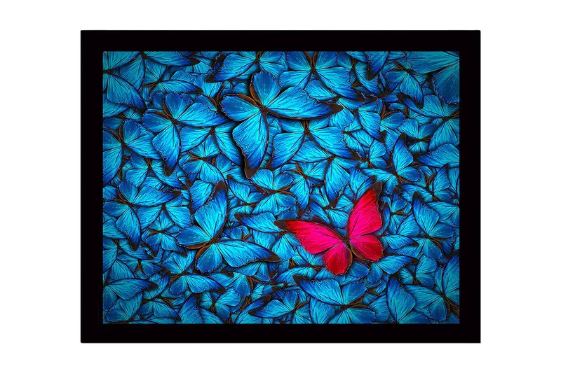 Kehystetty puutaulu canvasille - 41x56 cm - Värikäs perhoskokoelma, jossa näkyvä vaaleanpunainen perhonen, Sininen / Vaaleanpunainen