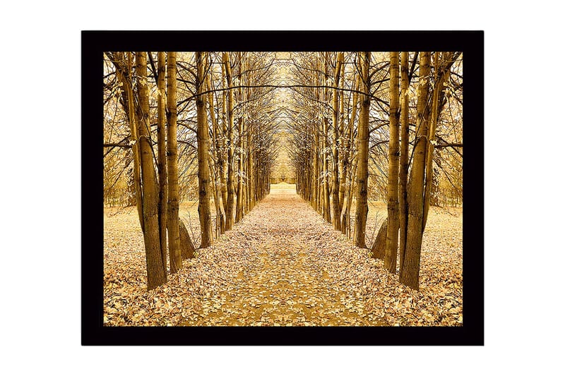 Kehystetty puutaulu canvasille - 41x56 cm - Kultainen puiden kuja syksyn väreissä, Kulta / Ruskea / Beige