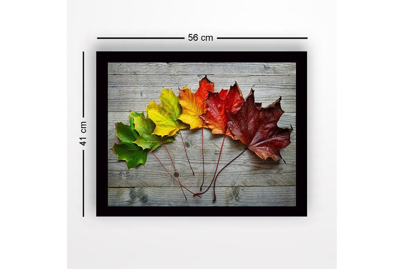 Kehystetty puutaulu canvasille - 41x56 cm - Värikkäät syksyn lehdet rivissä - Vihreä / Keltainen / Punainen - Sisustustuotteet - Taulu & taide