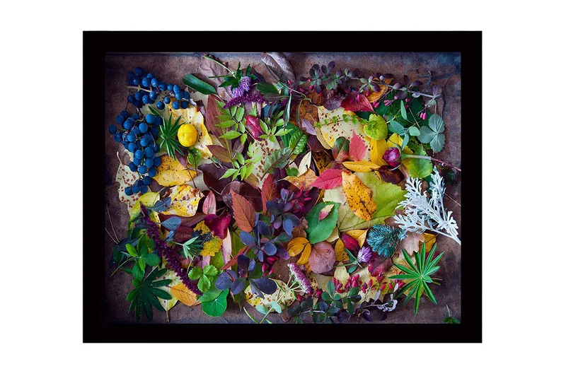 Kehystetty puutaulu canvasille - 41x56 cm - Värikäs kokoelma syksyn lehtiä ja marjoja, Vihreä / Punainen / Keltainen