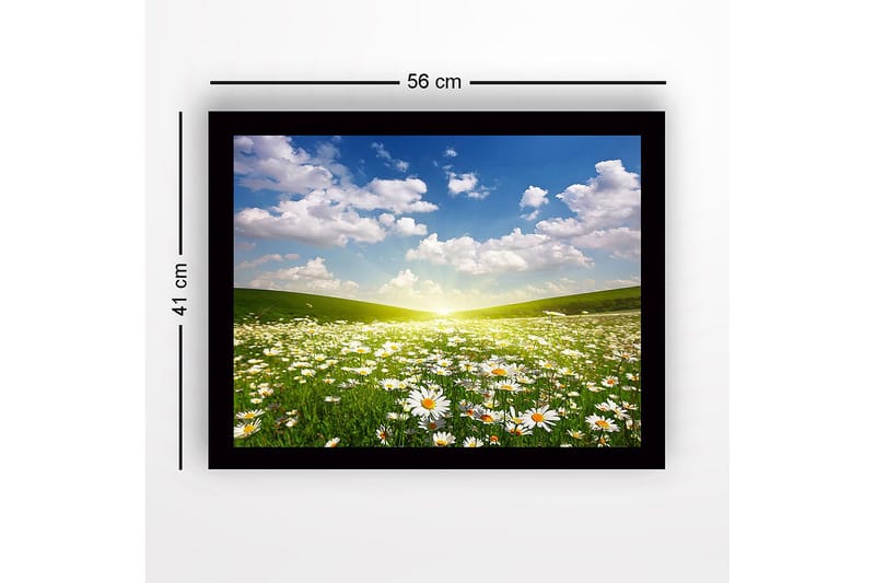 Kehystetty puutaulu canvasille - 41x56 cm - Kukkiva niitty ja päivänkakkaroita kirkkaan taivaan alla - Vihreä / Valkoinen / Sininen - Sisustustuotteet - Taulu & taide