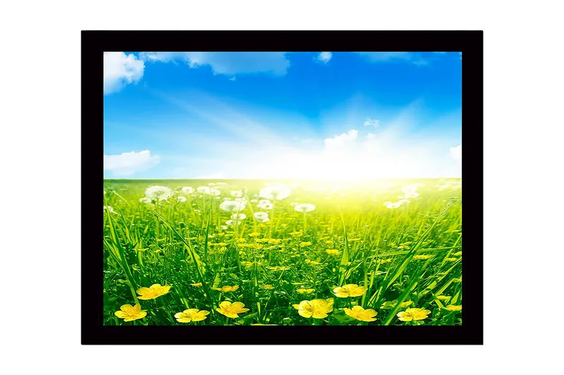 Kehystetty puutaulu canvasille - 41x56 cm - Aurinkoinen niitty keltaisilla kukilla ja vihreällä ruoholla, Keltainen / Vihreä / Sininen