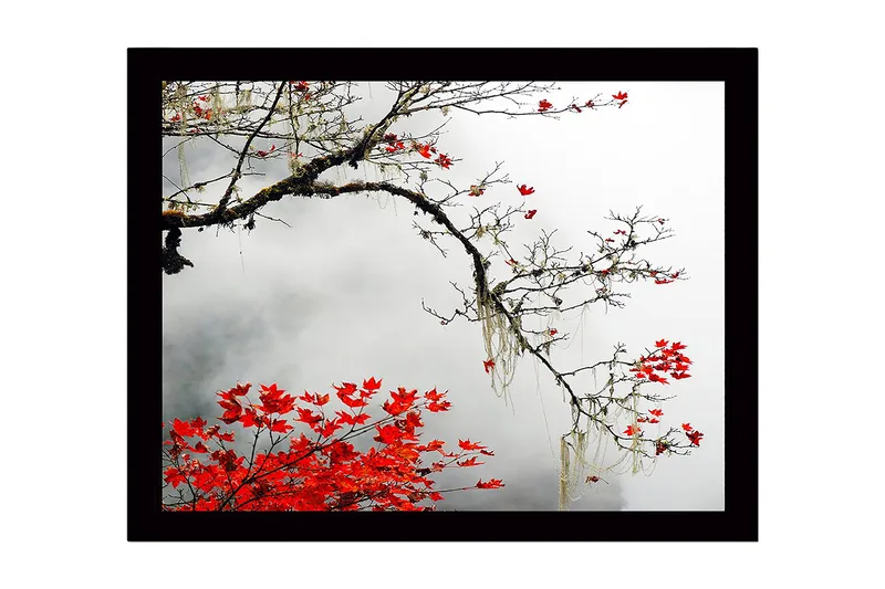 Kehystetty puutaulu canvasille - 41x56 cm - Kaunis oksa punaisilla syksynlehdillä sumuista taustaa vasten, Punainen / Harmaa / Ruskea