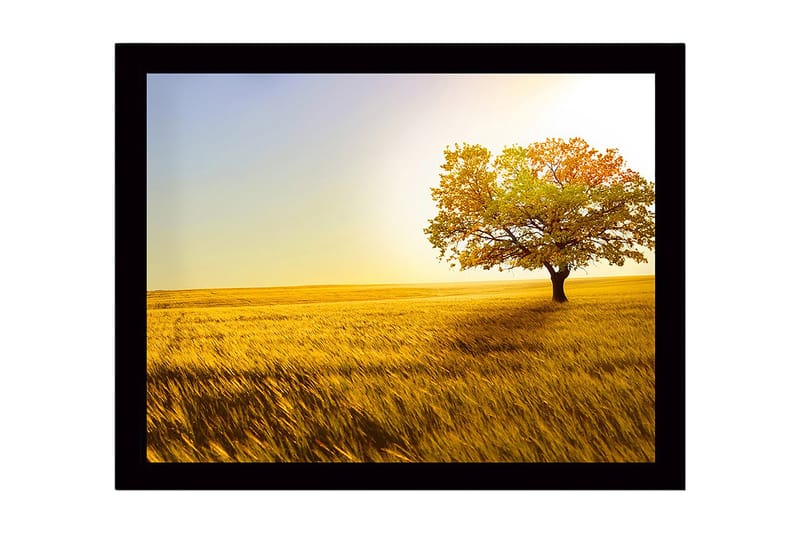 Kehystetty puinen canvas-taulu - 41x56 cm - Yksinäinen syyspuu kultaisessa pellossa, Kulta / Vihreä / Oranssi