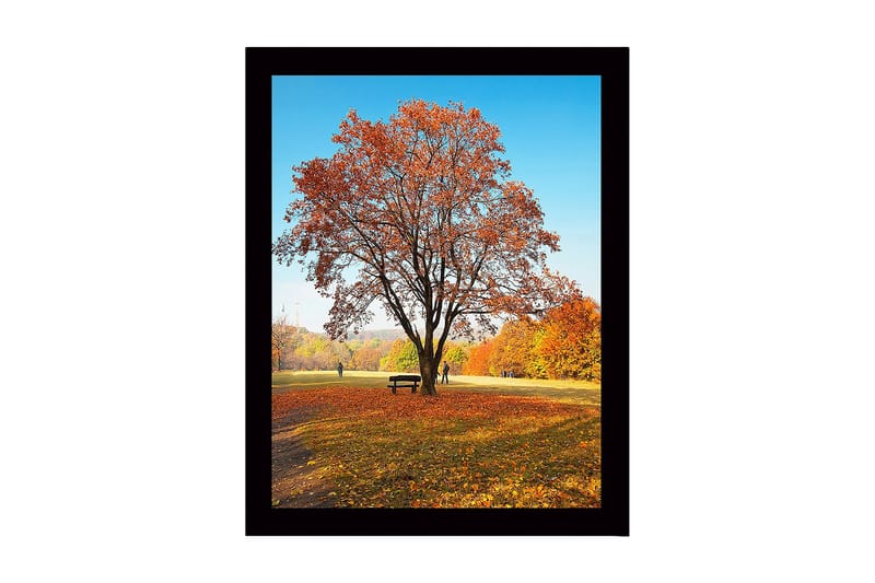 Kehystetty puutaulu canvasille - 41x56 cm - Majesteettinen syksyinen puu värikkäillä lehdillä, Oranssi / Keltainen / Ruskea