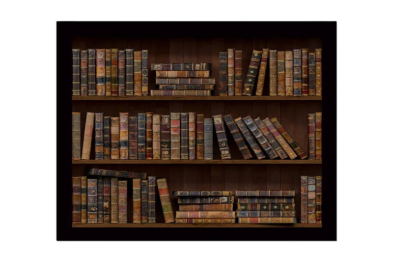 Kehystetty puukangas - 41x56 cm - Yksityiskohtainen kirjahylly vanhoilla kirjoilla eri väreissä ja kokoisina, Ruskea / Beige / Musta