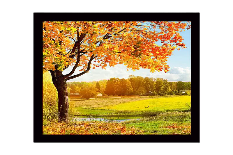 Kehystetty puutaulu canvasille - 41x56 cm - Kaunis syysmaisema suuren puun ja värikkäiden lehtien kanssa, Oranssi / Keltainen / Vihreä