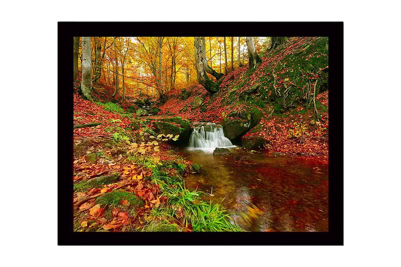 Kehystetty puutaulu canvasille - 41x56 cm - Kaunis metsä ja solina puro syksyn väreissä, Punainen / Oranssi / Vihreä