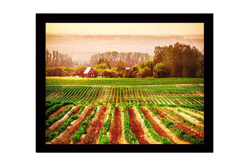 Kehystetty puinen canvas-taulu - 41x56 cm - Maaseutumaisema punaisella talolla, jota ympäröivät vihreät ja kynnetyt pellot, Vihreä / Oranssi / Punainen