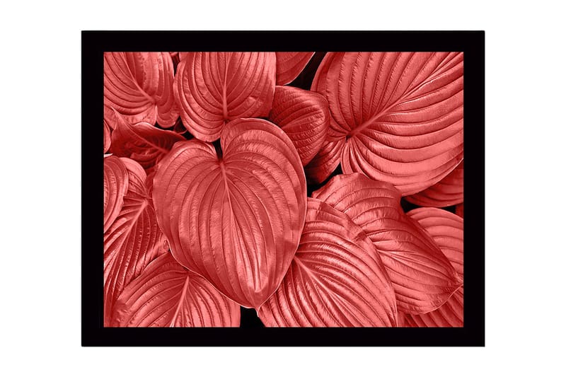 Kehystetty puutaulu canvasille - 41x56 cm - Värikkäitä lehtiä eri punaisen sävyissä, Punainen / Musta
