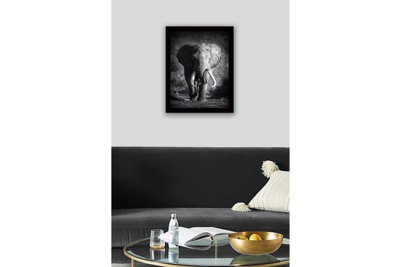 Kehystetty puucanvas - 41x56 cm - Upea norsu majesteettisessa asennossa - Musta / Harmaa - Sisustustuotteet - Taulu & taide