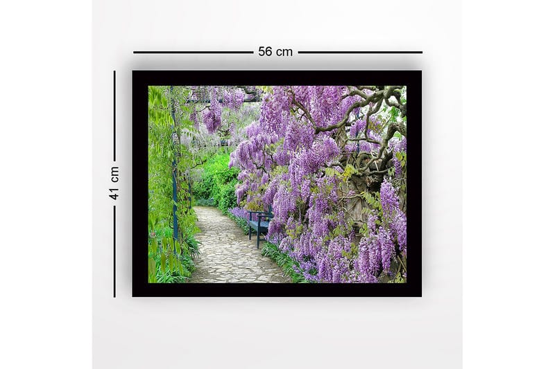 Kehystetty puutaulu canvasille - 41x56 cm - Rehevä kävelytie kukkivalla wisterialla violetin sävyissä - Violetti / Vihreä - Sisustustuotteet - Taulu & taide