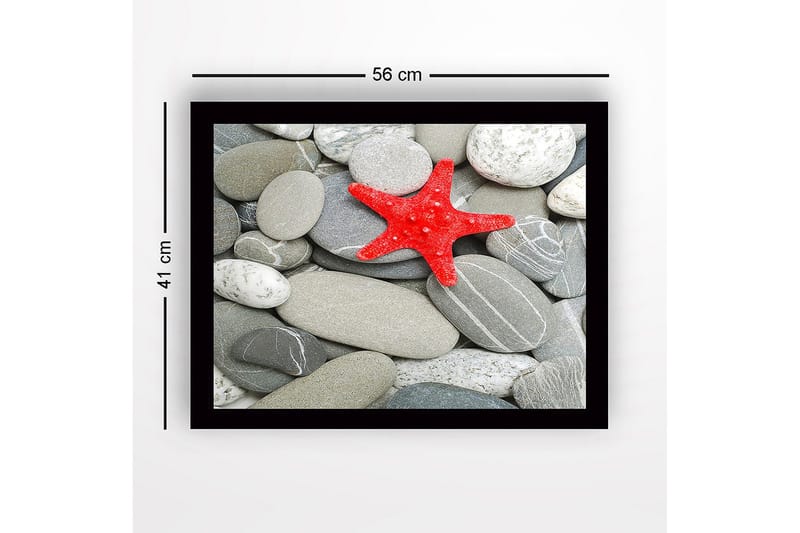 Kehystetty puutaulu canvasille - 41x56 cm - Punainen meritähti harmailla kivillä - Harmaa / Punainen - Sisustustuotteet - Taulu & taide