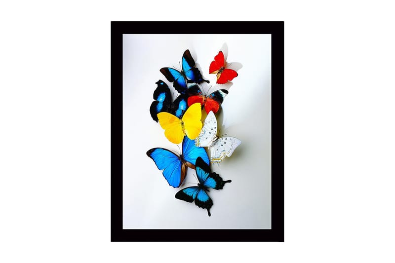 Kehystetty puucanvas - 41x56 cm - Värikkäät perhoset dynaamisessa sommitelmassa, Sininen / Keltainen / Punainen