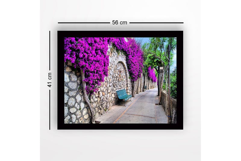 Kehystetty puutaulu canvasille - 41x56 cm - Kaunis kävelytie, jossa bougainvillea koristaa kivimuuria - Violetti / Vihreä / Beige - Sisustustuotteet - Taulu & taide