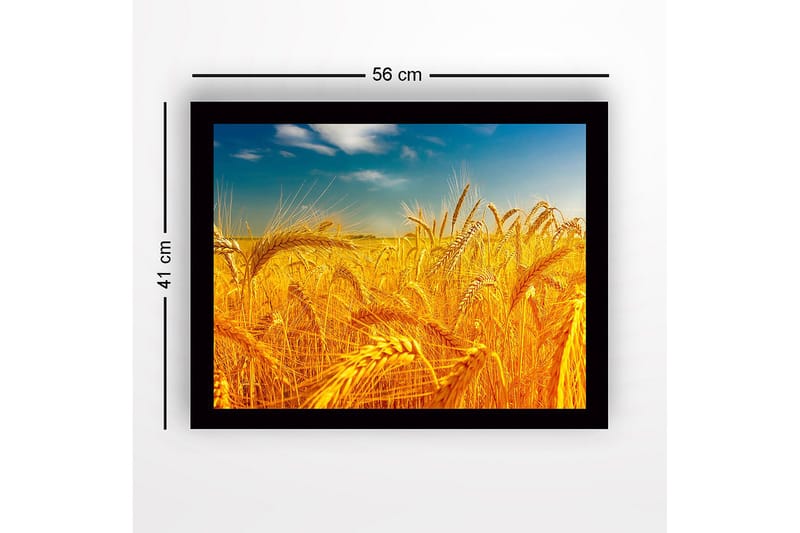 Kehystetty puinen canvas-taulu - 41x56 cm - Kultaiset vehnäpellot kirkkaan taivaan alla - Kulta / Sininen / Vihreä - Sisustustuotteet - Taulu & taide