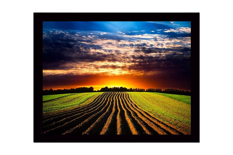 Kehystetty puinen canvas-taulu - 41x56 cm - Kaunis auringonlasku kumpuilevan pellon yllä kynnettyjen rivien kanssa, Vihreä / Oranssi / Sininen