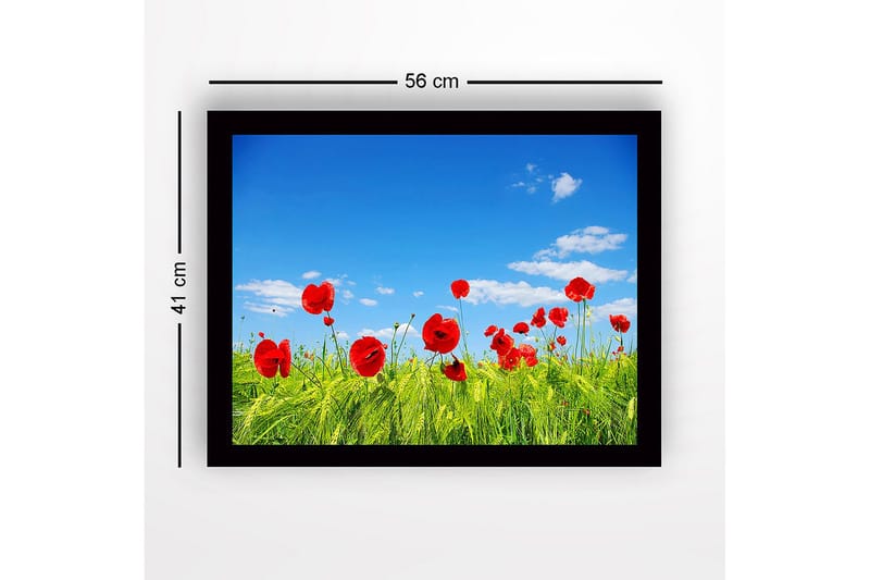 Kehystetty puutaulu canvasille - 41x56 cm - Punaisia unikkoja vihreällä niityllä kirkkaan sinisen taivaan alla - Punainen / Vihreä / Sininen - Sisustustuotteet - Taulu & taide