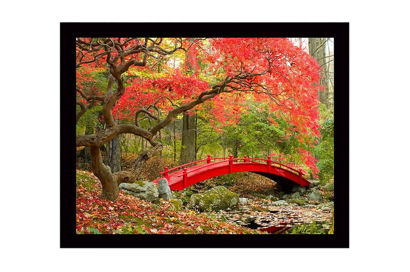 Kehystetty puinen canvas-taulu - 41x56 cm - Punainen silta syksyn väristen puiden ja lehtien ympäröimänä, Punainen / Vihreä / Ruskea