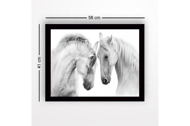 Kehystetty puinen canvas-taulu - 41x56 cm - Kaksi majesteettista hevosta nojaamassa päätään toisiaan kohti - Valkoinen / Harmaa - Sisustustuotteet - Taulu & taide