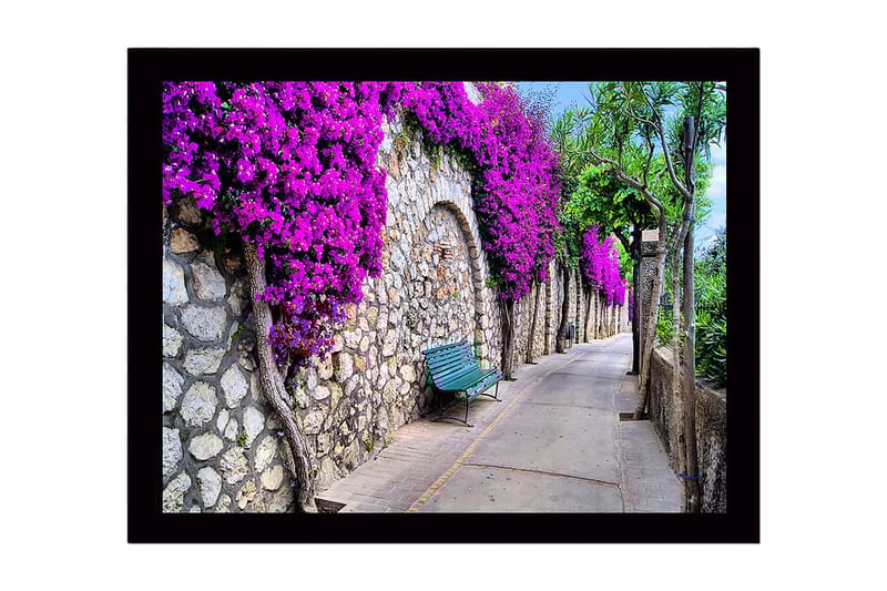 Kehystetty puutaulu canvasille - 41x56 cm - Kaunis kävelytie, jossa bougainvillea koristaa kivimuuria, Violetti / Vihreä / Beige