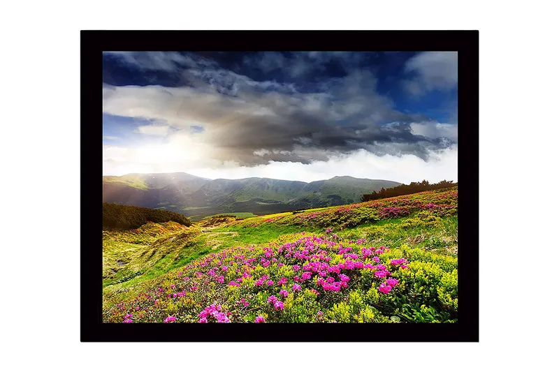 Kehystetty puupohja - 41x56 cm - Kaunis vuoristomaisema kukkivilla niityillä, Vihreä / Vaaleanpunainen / Sininen