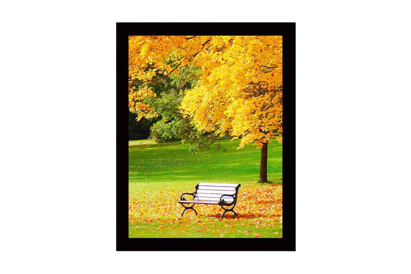 Kehystetty puinen canvas-taulu - 41x56 cm - Kaunis puistonpenkki kultaisten syksyn lehtien ympäröimänä, Kulta / Vihreä / Musta