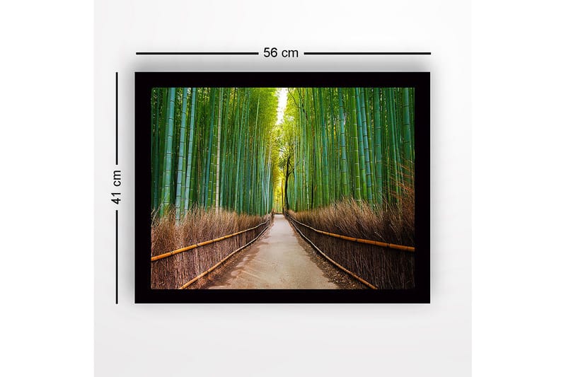 Kehystetty puinen canvas-taulu - 41x56 cm - Vihreä bambumetsä ja polku puiden läpi - Vihreä / Ruskea - Sisustustuotteet - Taulu & taide